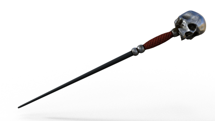 Magic Wand Skull