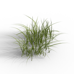 Grass-diagonal